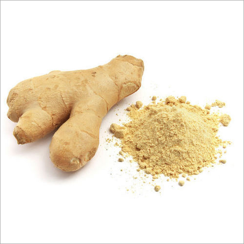Ginger Extract - Herbal Powder, Yellow Color | 99.9% Purity, 3 Years Shelf Life, Motion Sickness Relief