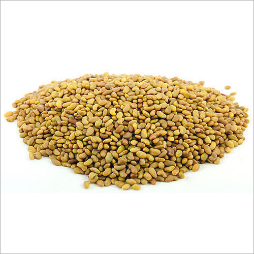 Yellow Alfalfa Seeds Extract