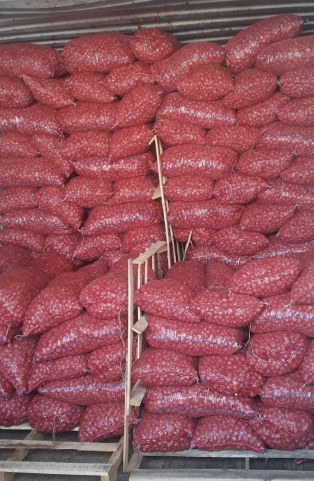 Small Onion Shelf Life: 20-25 Days