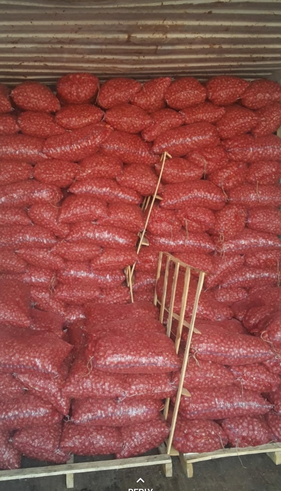 Small Onion Shelf Life: 20-25 Days