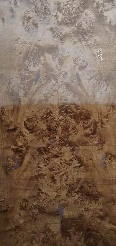 Wear Resistant Decorative Veneer
