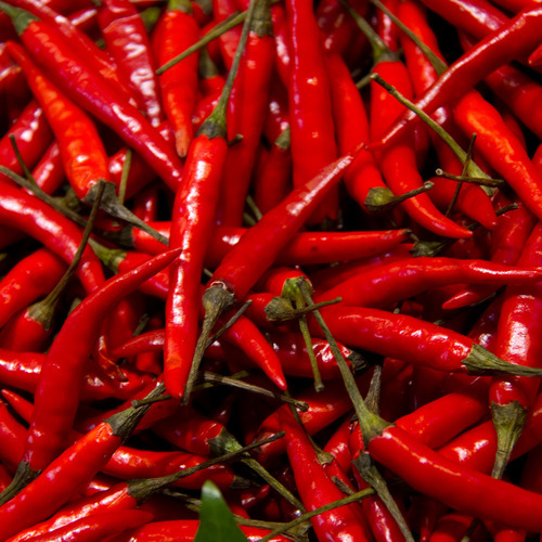 लाल मिर्च