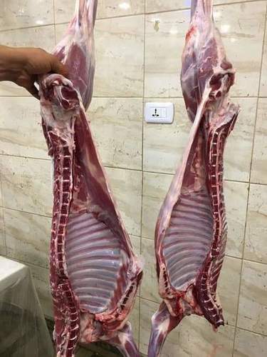 भेड़ का निस्संवेदन