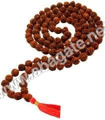 Rudraksha