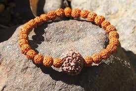 Rudraksha