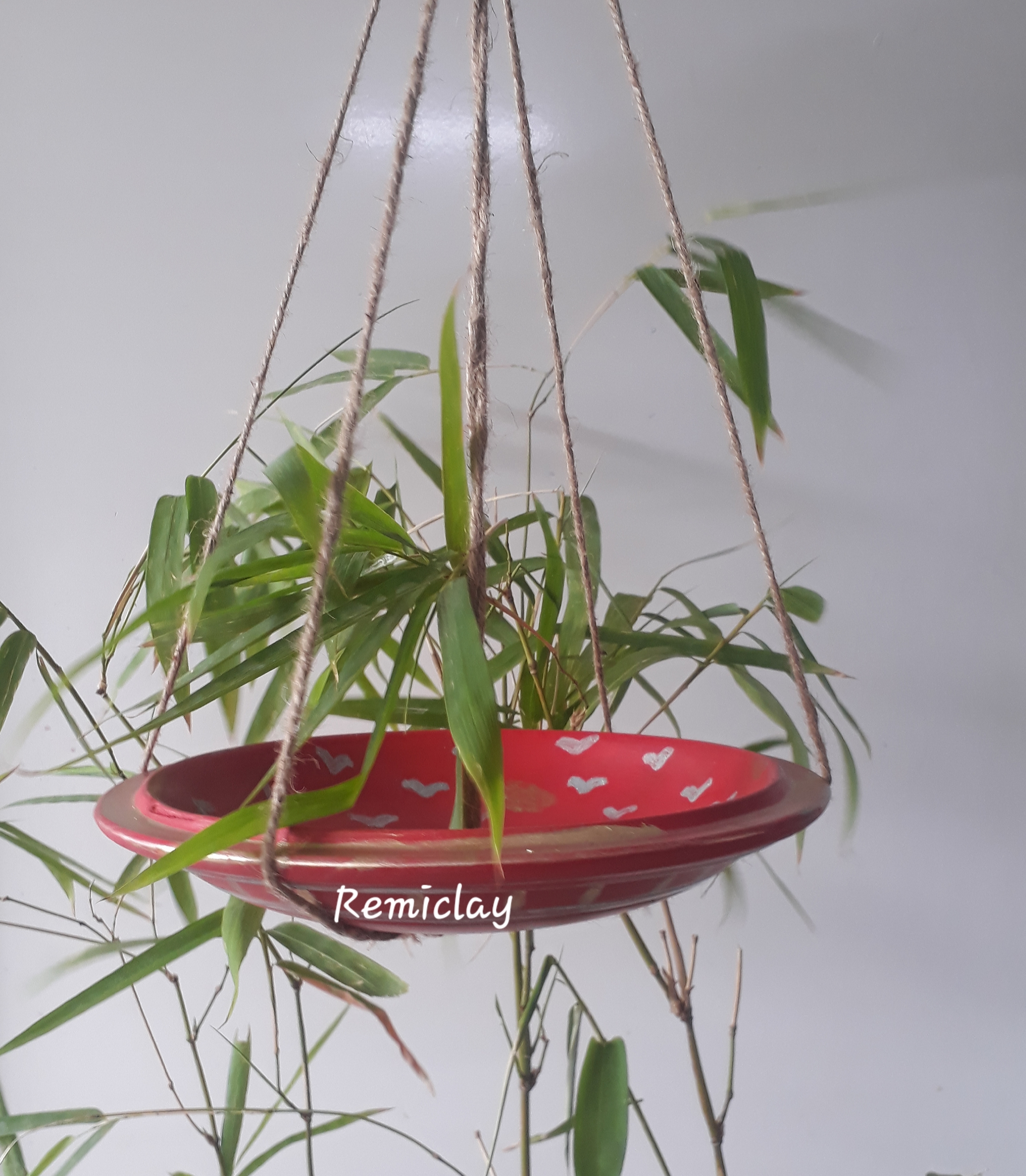Bird Feeder Interior Coating: Painted