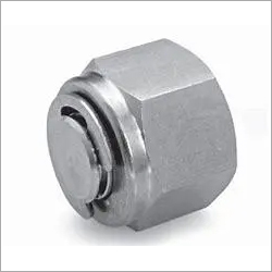 स्टेनलेस स्टील ट्यूब प्लग