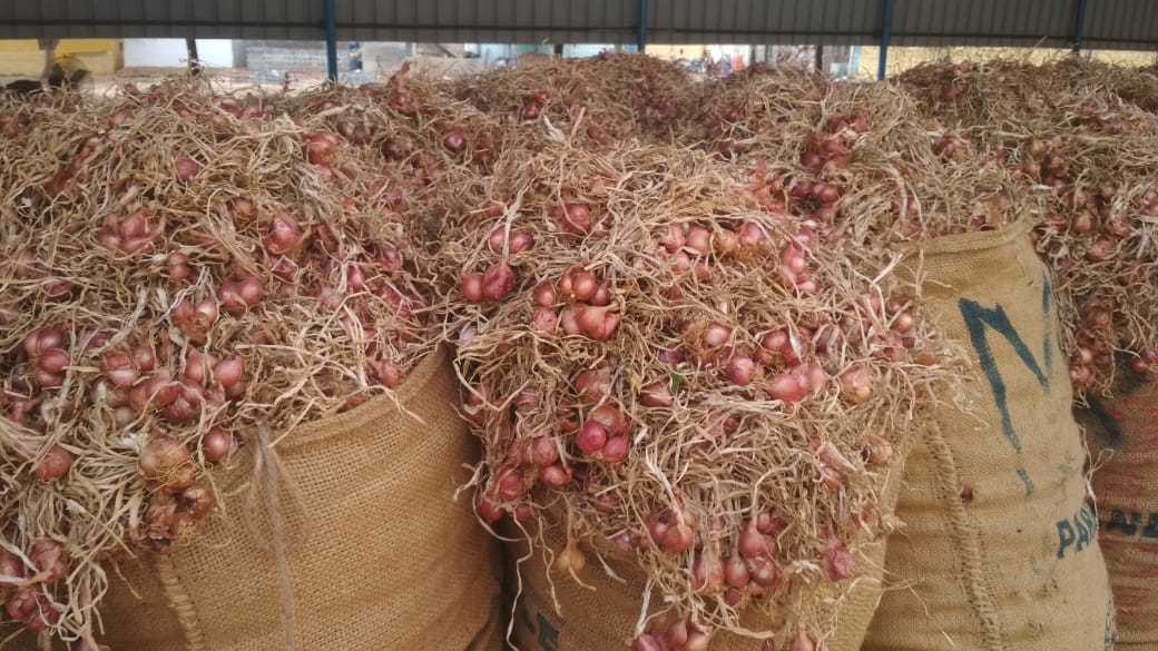 Shallots