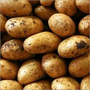 ताजा आलू की नमी (%): 63-83