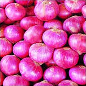 ताजा प्याज की शेल्फ लाइफ: 3 महीने