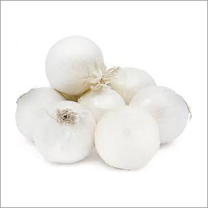 सफेद प्याज की शेल्फ लाइफ: 3 महीने