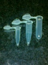 सूक्ष्म सेंट्रीफ्यूज ट्यूबें