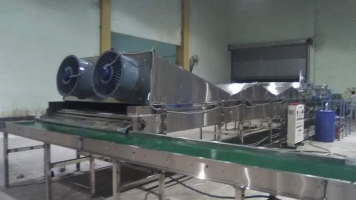 Electronic Fruit Grading Line For Apple And Other Rounded Fruits