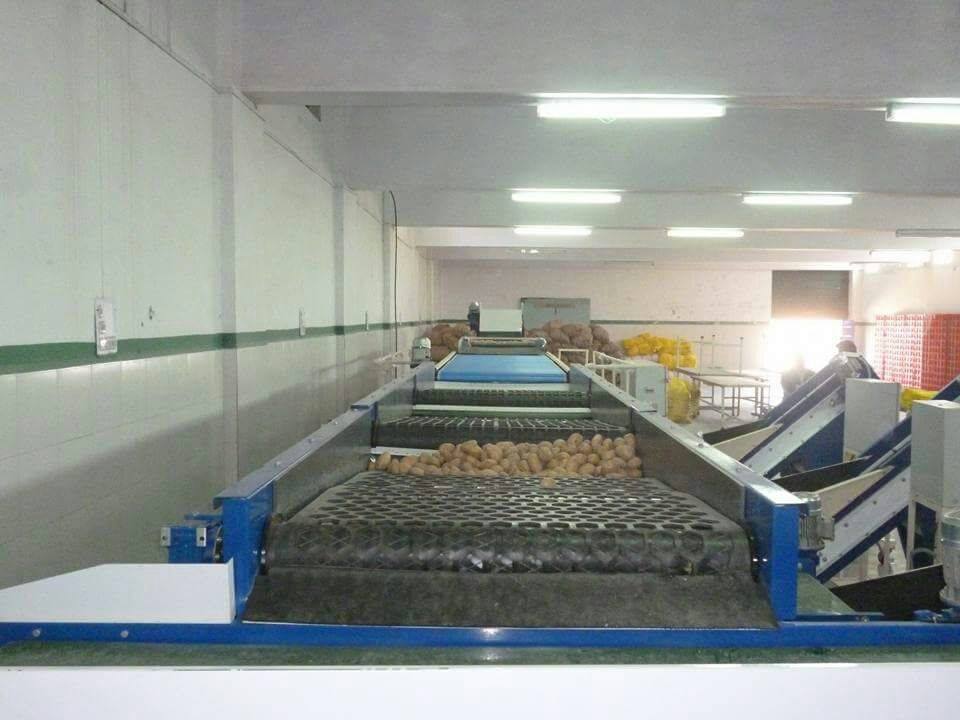All Vegetable Grading Line