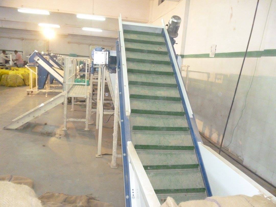 All Vegetable Grading Line