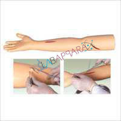 Advanced Surgical Suture Arm Model For Educational