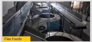 हमारी स्थापना - फ्लेक्स फूड्स