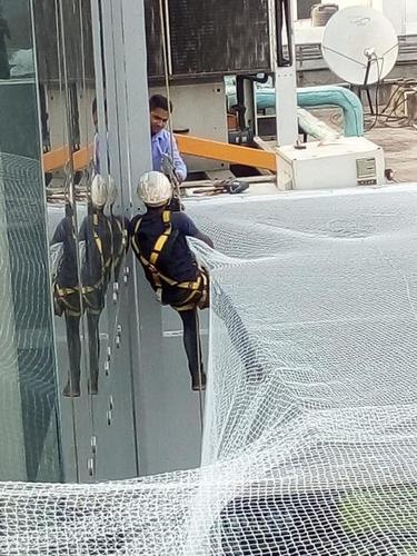 औद्योगिक पक्षी जाल