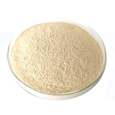 Brewers Yeast Powder - Saccharomyces Cerevisiae, Yellow  Powder | All-natural Nutritional Supplement, High Protein For Livestock And Poultry
