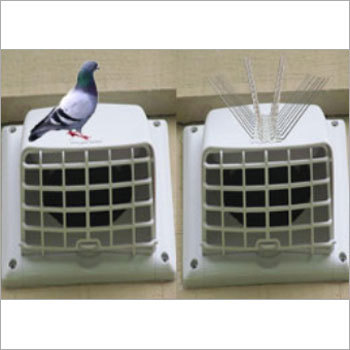 Birds Solution
