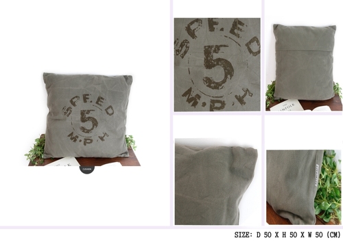 Printed Speed M.P.H Cushion