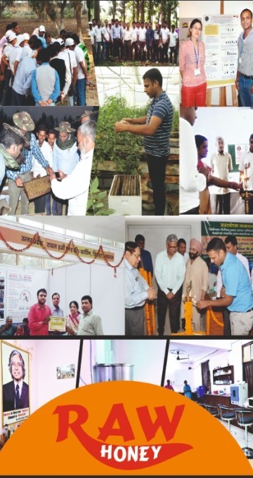 Raw Honey - Glass Jar, Amber Color, 18-22% Moisture Content | Direct From Hive, Natural Goodness, Unprocessed, Unique Flavor, Cheesecloth Filtration