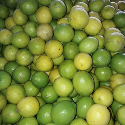 Green Lemon - Fresh Organic Citrus Fruit, Round Shape with Strong Sour Flavor, Vitamin C Rich for Healthy Heart and Skin Glow