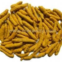 Turmeric