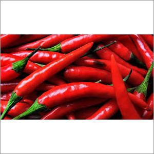 Red Chilli Shelf Life: 1-2 Months
