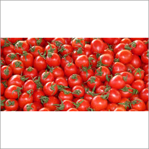 Fresh Tomato - Organic Red Round, Grade A | Juicy, Sweet Taste, Preserved, High Nutritional Value