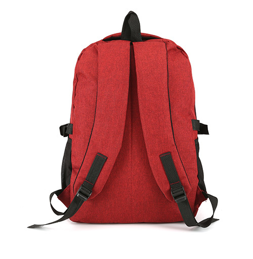 Various Color Stylish Laptop Backpack