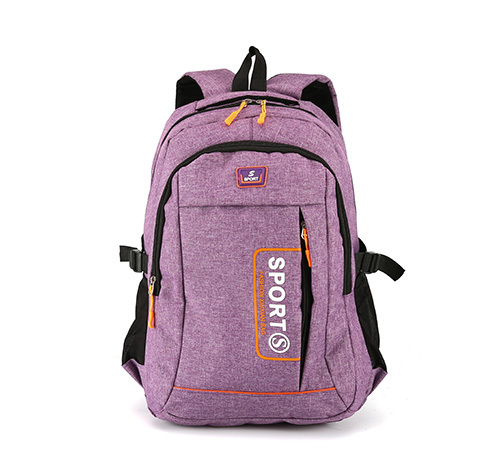 Various Color Stylish Laptop Backpack
