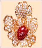 ब्रोच