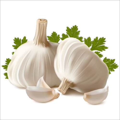 Farm Fresh White Garlic