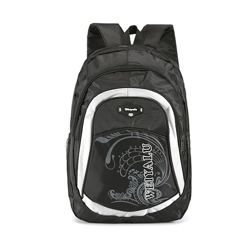 विभिन्न रंग का लैपटॉप बैग