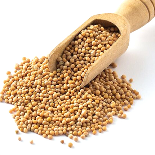 Organic Yellow Mustard Seeds