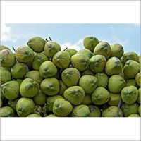 ताजा नारियल