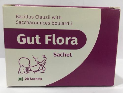 बच्चों के लिए प्री एंड प्रोबायोटिक डोज़ फॉर्म: पाउडर