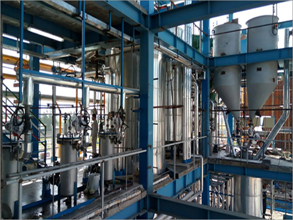 Automatic Hazelnut Oil Refining Plant