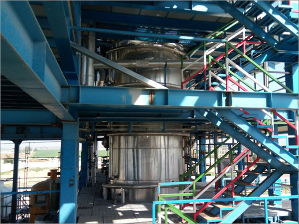 Automatic Hazelnut Oil Refining Plant