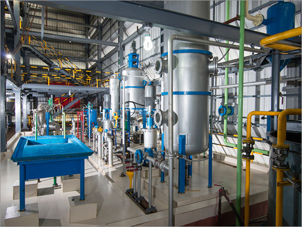 Automatic Hazelnut Oil Refining Plant