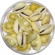 Cowdi - Yellow Puja Samgri 21 Pieces | Abhimantrit For Sukh Shanti, Happiness, And Laxmi Puja, Special Finishing