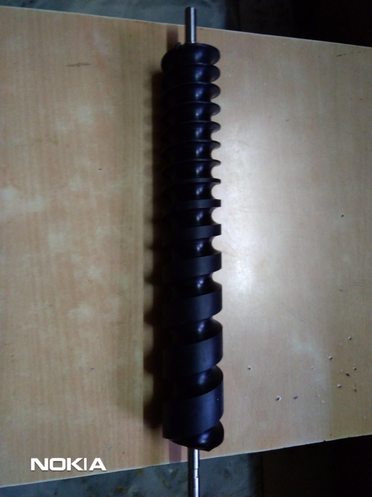 Polished Feed Screw