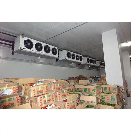 Fruit And Vegetable Cold Room