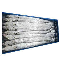 ताजा मछली