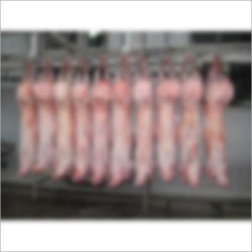 Fresh And Frozen Meat Shelf Life: 1 In -18 Degree Temp. Years