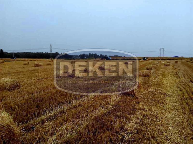 Mini Round Baler Capacity: 2-5km/h Ton/day