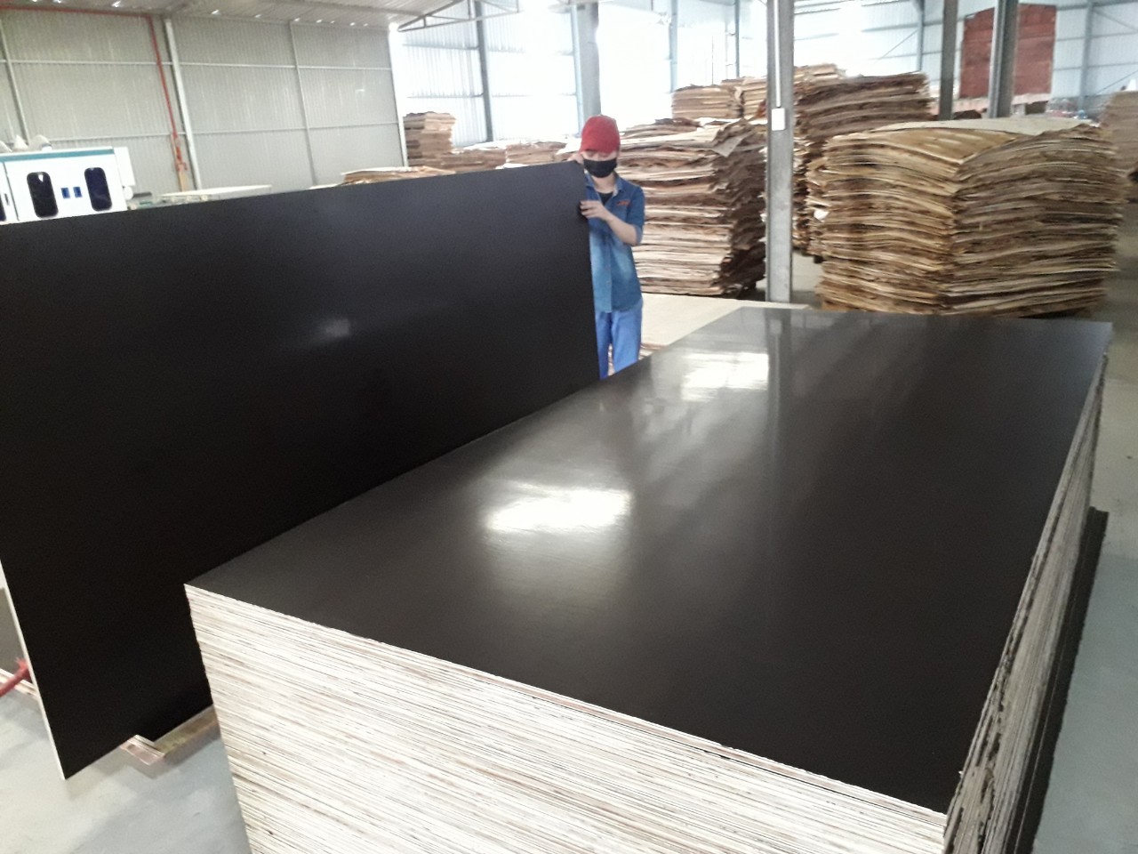 Hardwood Film Faced Plywood Core Material: Poplar