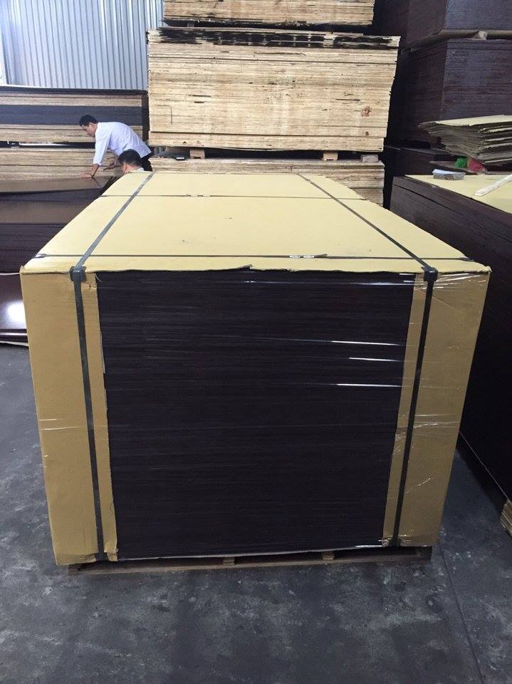 Hardwood Film Faced Plywood Core Material: Poplar