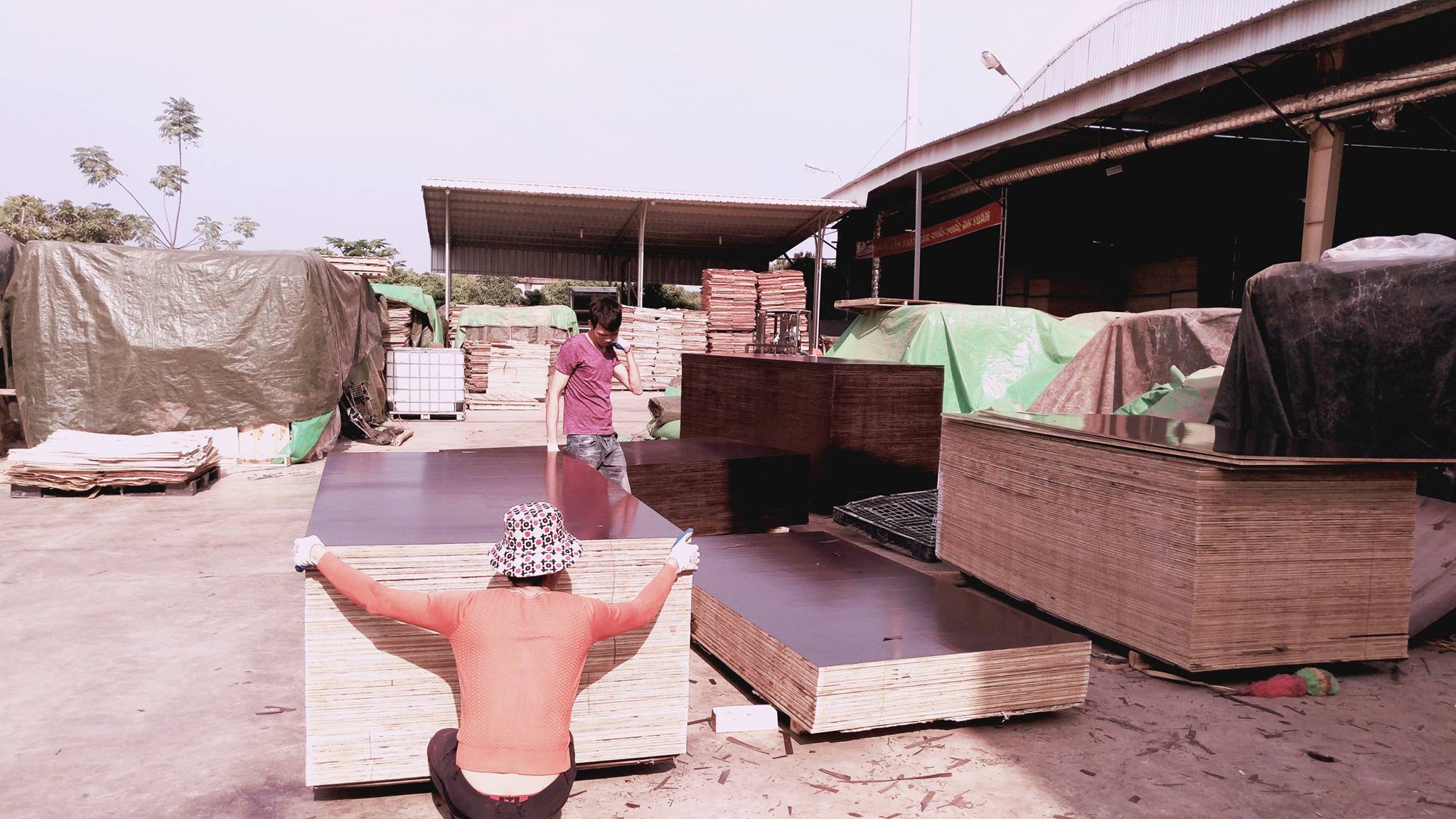 Commercial Film Faced Plywood Core Material: Harwood